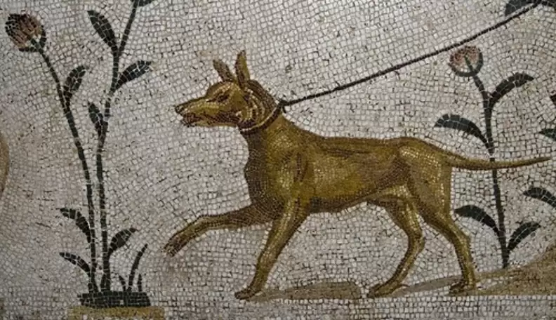 Dogs in Ancient Greece: Companion, Guard, and Symbol